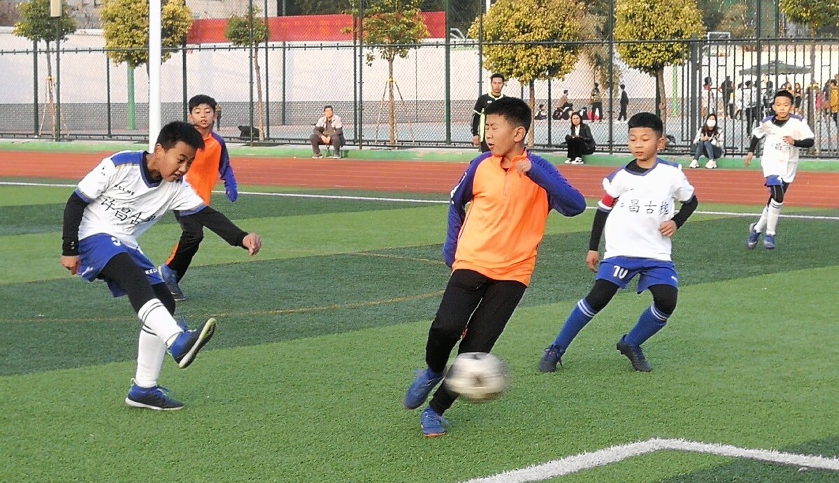 奥拉打造的 奥拉打造的