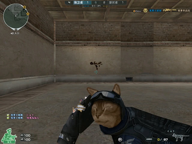 中单位偏资 中单位偏资